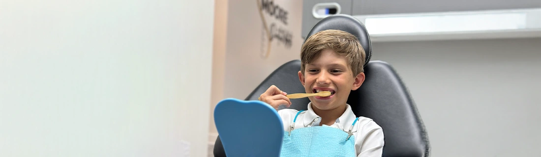 Little Boy Brsuhing His Teeth
